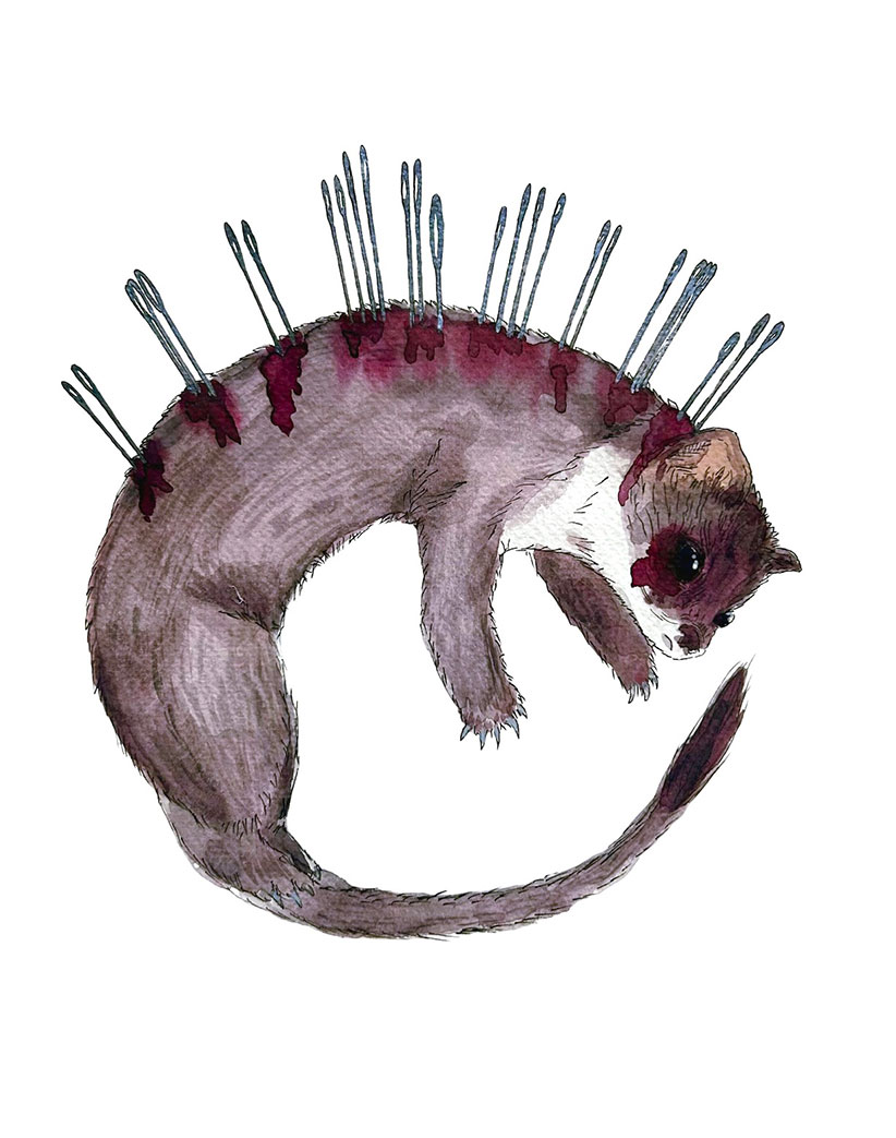 offene-ateliers-bremen-neustadt